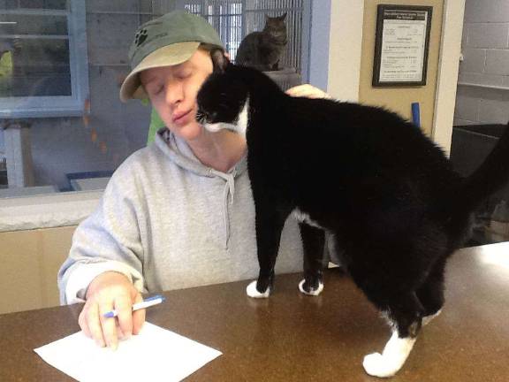 find your best four-legged friend this weekend