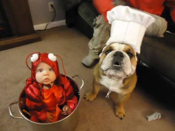 Submitted by Steve Ryder of West Milford, N.J. "Brandon (Lobster) is being prepared by master chef Rambo."