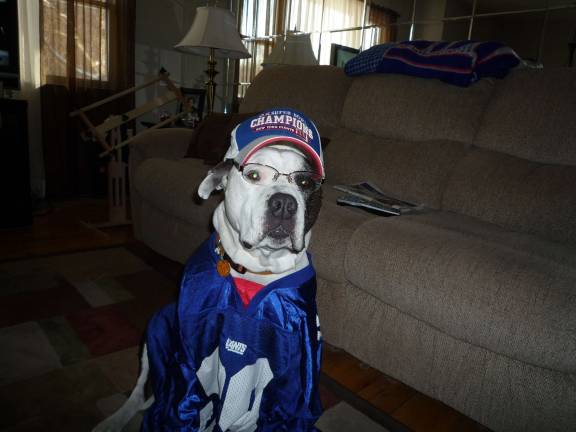 Submitted by Tina Pelaez of Chester, N.Y. "Baby watching the Giant game. Diehard fan."