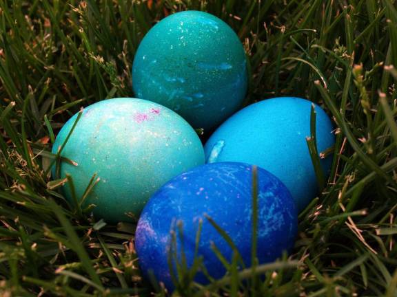 The Easter Egg Hunt sponsored by the Village of Warwick Recreation and the Warwick Fire Department will take place Saturday, March 31, at Veterans Memorial Park beginning at 10 a.m.