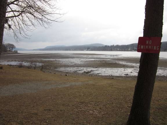The Greenwood Lake drawdown wasn't as successful as hoped. A mild winter didn't freeze the offending weeds. And it took much longer to fill the lake back because of a dry spring. Photo by Don Webb