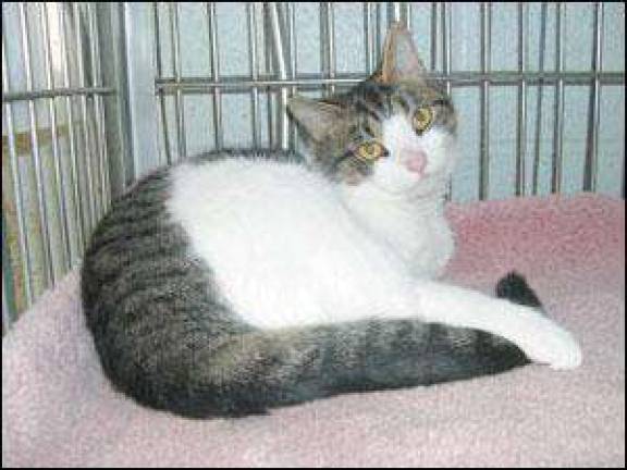 Meet Wilma ...