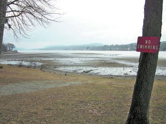 Help needed for the clean up of Greenwood Lake
