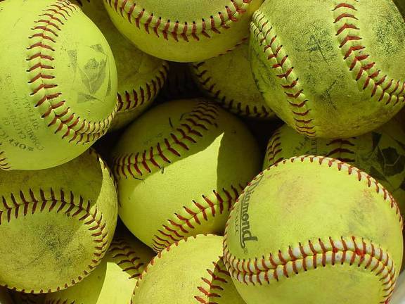 Community Services & Rec. Men's Over 40 Softball standings