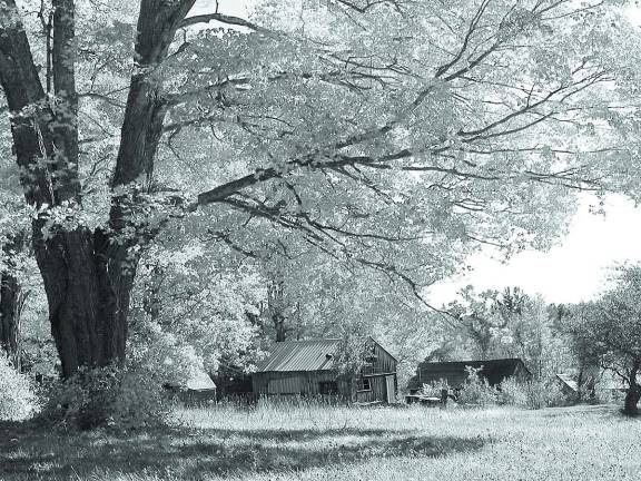 Enjoy fall colors at Apshawa Preserve hike