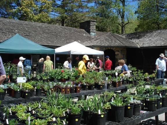 NJBG volunteer Nancy Cochrane shares the joy of gardening with children at the NJBG Plant Sale, helping them to plant a free plant to take home with them. The sale will be held at the New Jersey State Botanical Garden from 10 a.m. to 4 p.m. on May 3,4 and 11.