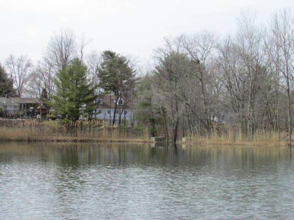 Photo by Ann GenaderThe lower lake dam at Bubbling Spring Municipal Park needs to be repaired. This is a second lake at the park and not the one used for swimming and water sports.