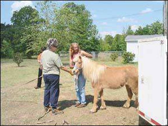 New children's equine book based on real life blind pony