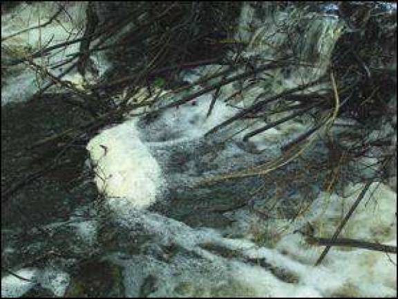 Alleged pollution causes rancor