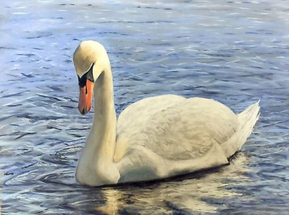 Swan on Greenwood Lake by Patricia Quirk.