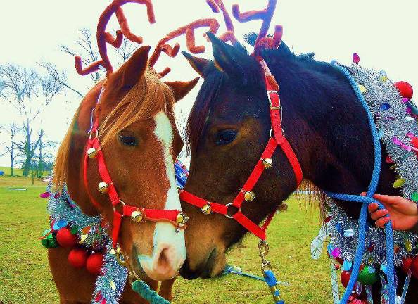 Submitted by Adrianna Altamirano of Hamburg, N.J. Odd Socks and Sambuca.