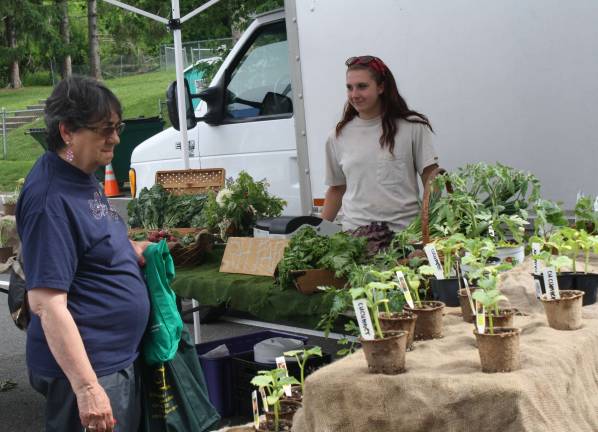 For those who want to grow their own vegetables, plants were available at the market.