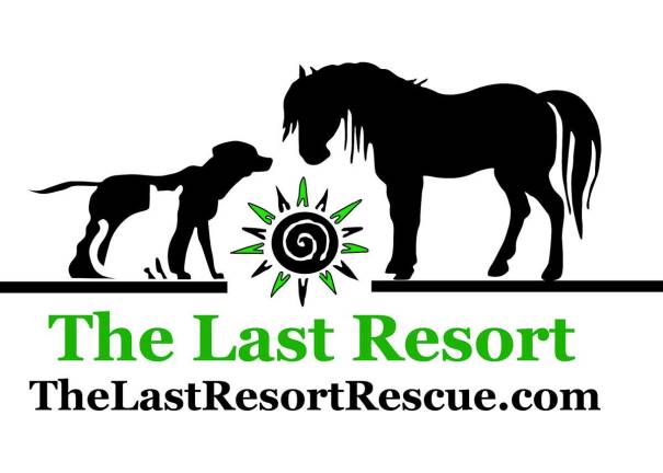 Last Resort looks to build a home
