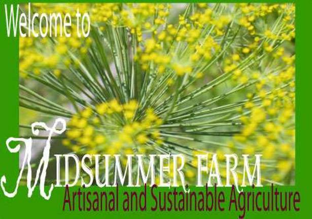 Living with Herbs classes offered at organic farm