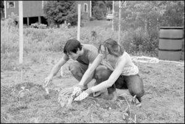 How does your garden grow?