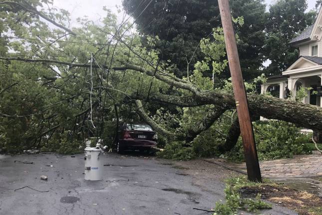 Photo by Larry Miri This tree brought down wires on Third Street in the Village of Warwick Tuesday afternoon.