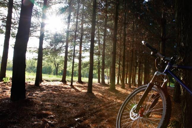 Bicycle Safety in West Milford: Lessons from New York City