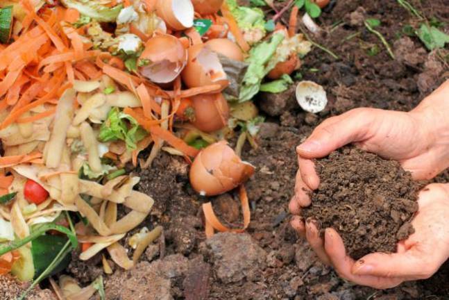 Orange County Master Gardener Volunteer Pamela Golben will host a Composting program on Tuesday, March 23, from 7 to 8:30 p.m. via Zoom. Composting is good for your garden and the planet. Learn the basics including what, where and how to compost.