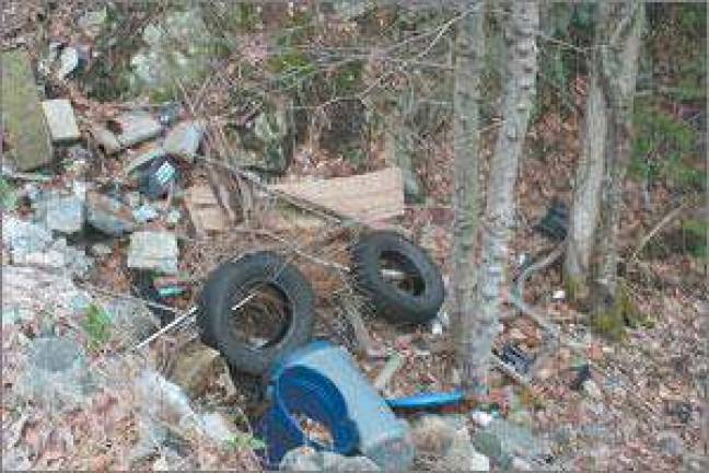 Dumping disgrace