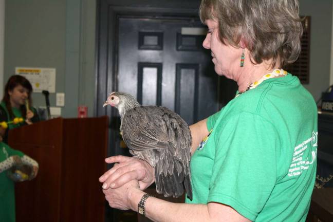 Photo by Linda Smith Hancharick President of the 4-H Velveteen Rabbit and Farm club, Rebecca, speaks to the township council Wednesday night about the club and their desire to change the law to allow chickens on property less than one acre. Club leaders brought a therapy chicken to show. the gentle nature of chickens.