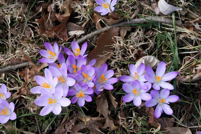 A peek at Spring