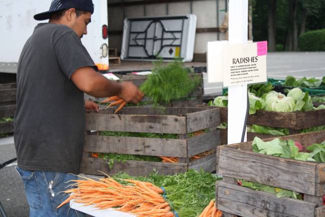 A vendor at last year's farmer's market unpacks his fresh produce.