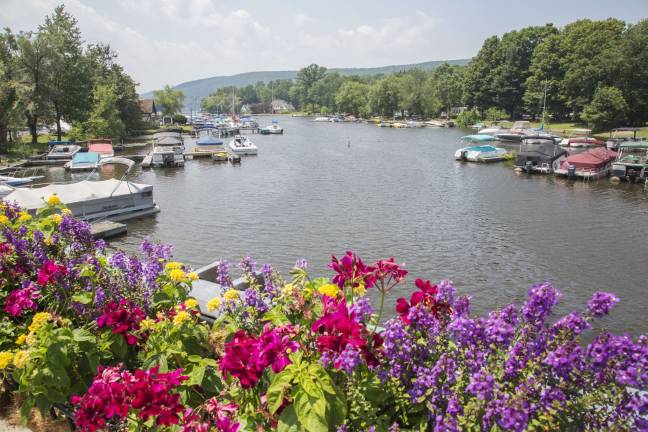 Photo by Robert G. Breese This photo of a southern channel of Greenwood Lake was taken in July, 2013. The West Milford Environmental Commission will work with the Greenwood Lake Bi-State Commission to help decrease pollution and weed growth.