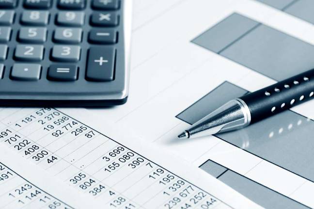 Council introduces 2014 budget
