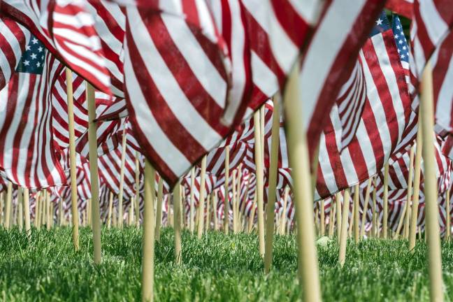 Learn about our flag this Flag Day