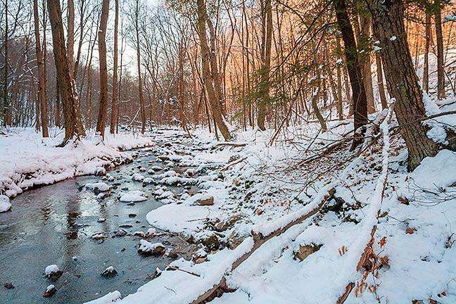 Photoy by Nick Zungoli Orange County Land Trust will lead a winter hike - either on foot or snowshoe, depending on snow coverage - on Saturday, Feb. 9, beginning at 10 a.m. at Fuller Mountain Preserve, the Land Trustís 255-acre nature preserve off Bowen Road in the Town of Warwick.