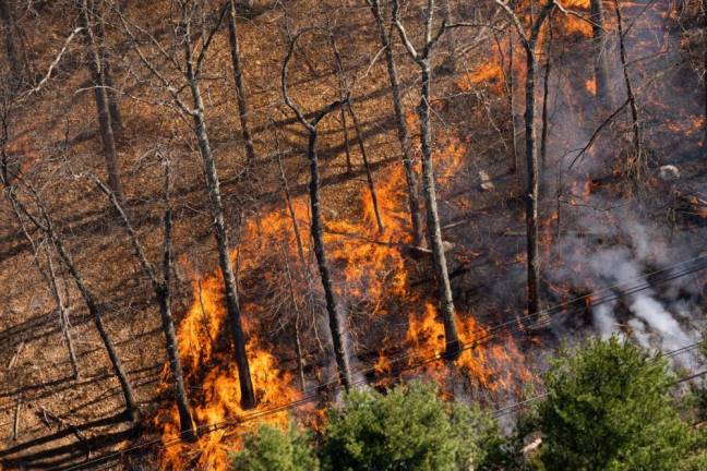 The wildfire was 40 percent contained as of 3 p.m. Thursday, April 13, officials said. (Photo courtesy of state Department of Environmental Protection)