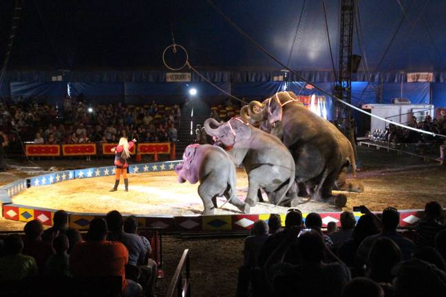 Cole Bros. Circus came to town this weekend at the Skylands Ball Park in Augusta, N.J.