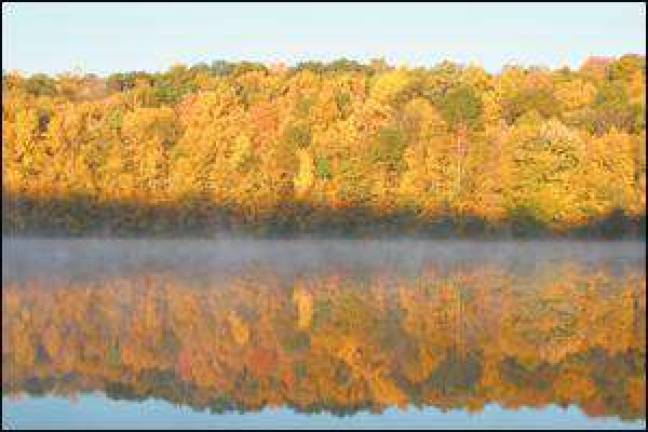 Autumn reflections
