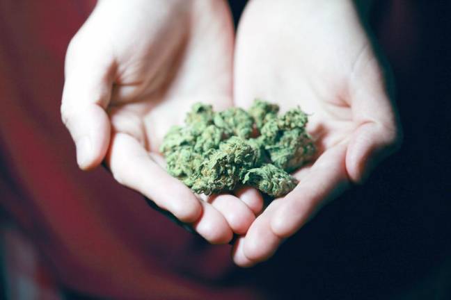 A handful of cannabis, but is it really free?