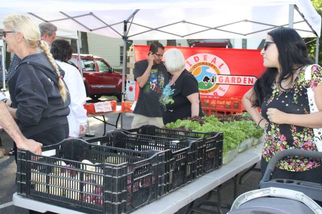 There were plenty of fresh veggies and fruits at the market.
