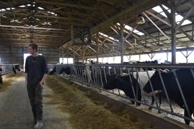 Garrett Stap, 21, milks 116 cows in Pine Bush, NY. The Staps invested in a pasteurizer in 2017.