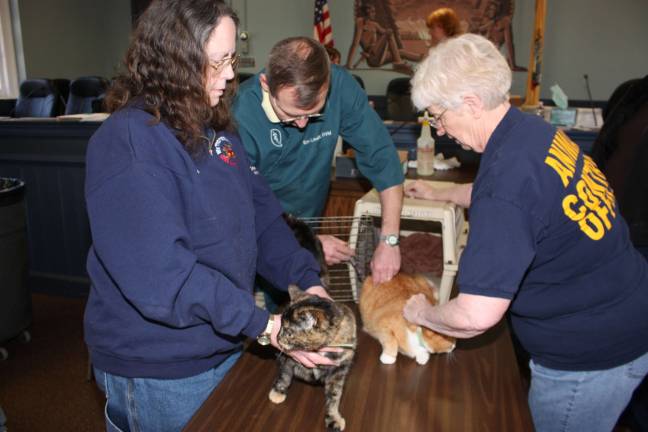 Mee-OUCH! Two pet pussy cats get their rabies innoculations on Saturday when West Milford Township held a free rabies clinic for cats at town hall. Pictured here, from left, is vet tech Sandra Natale, Eric Louer, D.V.M. , from the Greenwood Lake Animal Hospital, and Bev Lujbli, West Milford's Animal Control Officer. For current cat licensing information visiit the Animal Control web site at westmilford.org. Photo by Ginny Raue