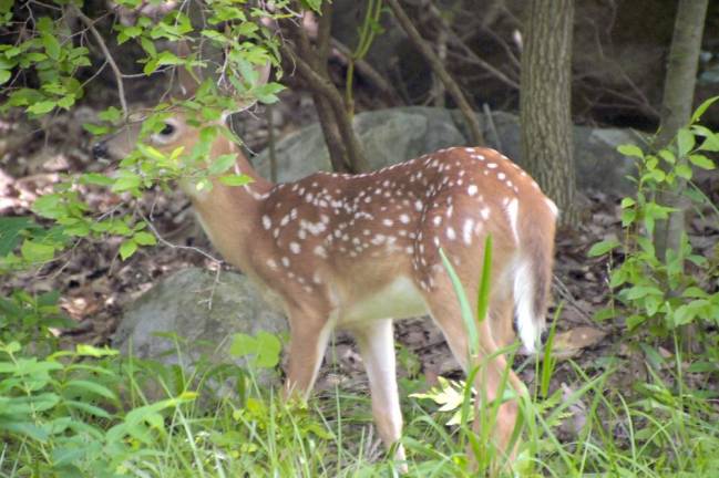 Candid nature moments captured