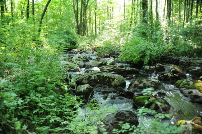 Photo by Sandy Urgo The Land Conservancy of New Jersey has taken over the management of West Brook Preserve in West Milford.