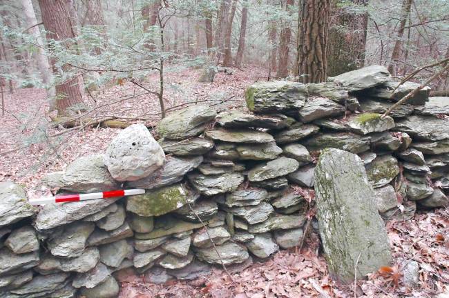 Along this stone wall, Norman Muller found rounded quartzite boulders resting on top of the wall, possibly from the Delaware River below, on the Pennsylvania side.