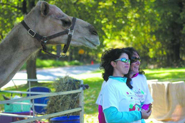Photo by Warwick Wallon Cyclists visit with the tour camel during last year's tour.