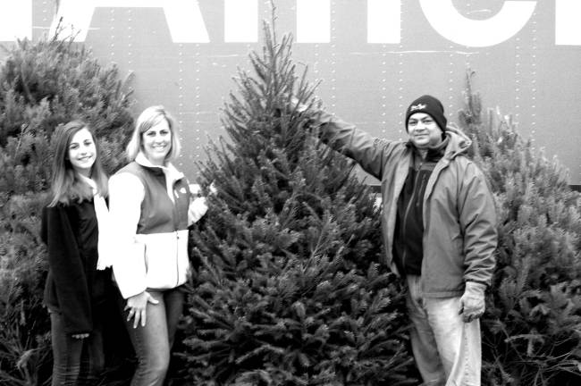 Buying a tree