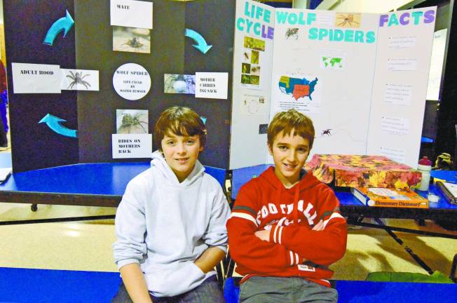 Mateo Zemser and Ryan Palomba worked together to tell the story of the life cycle of the Wolf Spider.