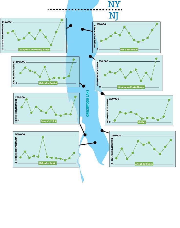 $!The above graphs show the increases in the cyanobacteria levels on the New Jersey side of Greenwood Lake, based on DEP testing data.