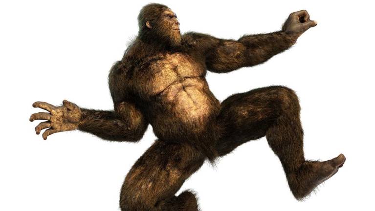 This is an artist's rendering of what the National Geographic calls the “camera-elusive, grooming-challenged, bipedal ape-man that roams the mountain regions of North America” and is known as Bigfoot.