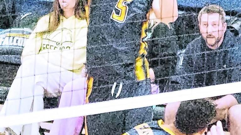 <b>Jefferson's Salvatore Marinello (5) reaches for the ball. Marinello had 1 dig.</b>