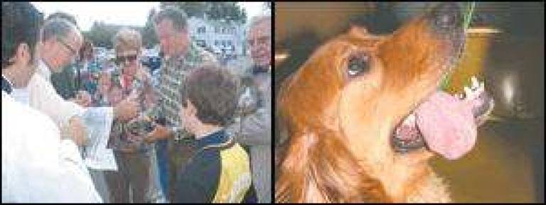 Blessing the animals
