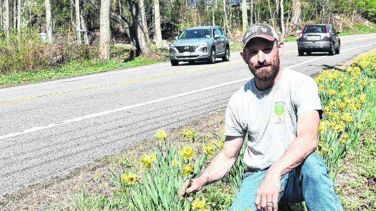 Hazelman Farms owner Rocky Hazelman amid the parade of daffodils along lower Macopin Road.