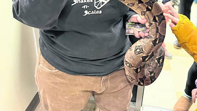 Erin Mellini of Snakes-N-Scales shows lets a child feel a snake.