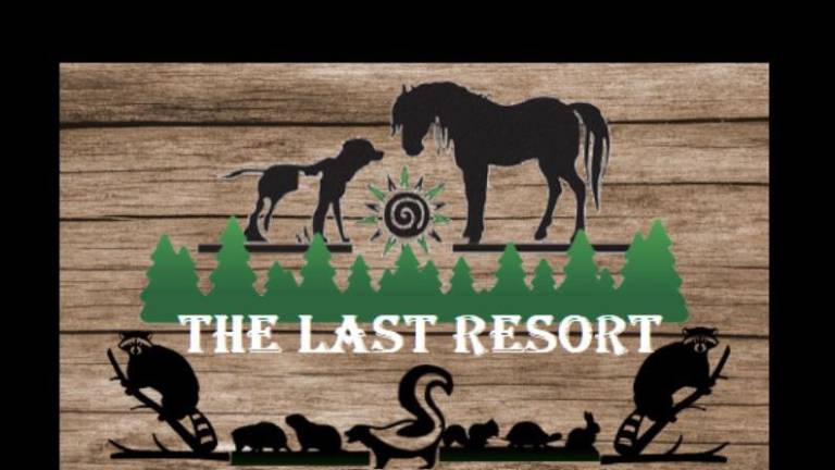 Talk on wildlife Thursday at library